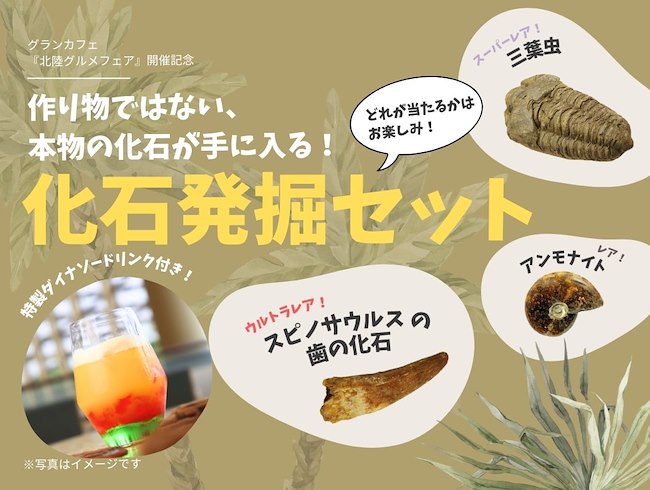 化石発掘セット